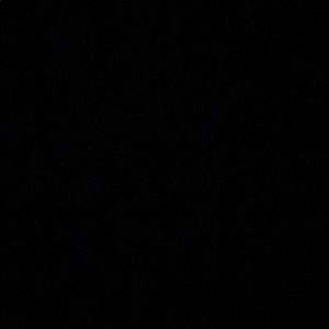 Meet your Posher, Desirae